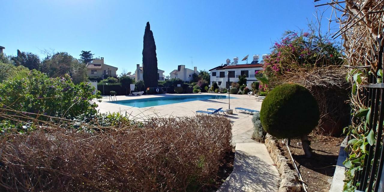 شقة 'Chez Antoine' Pool-View 5Min From Sea بافوس المظهر الخارجي الصورة